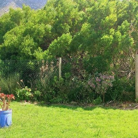 Cat Nap Cottage Bettyʼs Bay Екстериор снимка