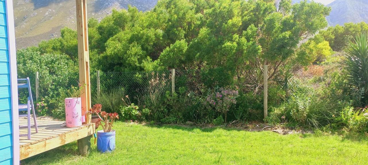 Cat Nap Cottage Bettyʼs Bay Екстериор снимка