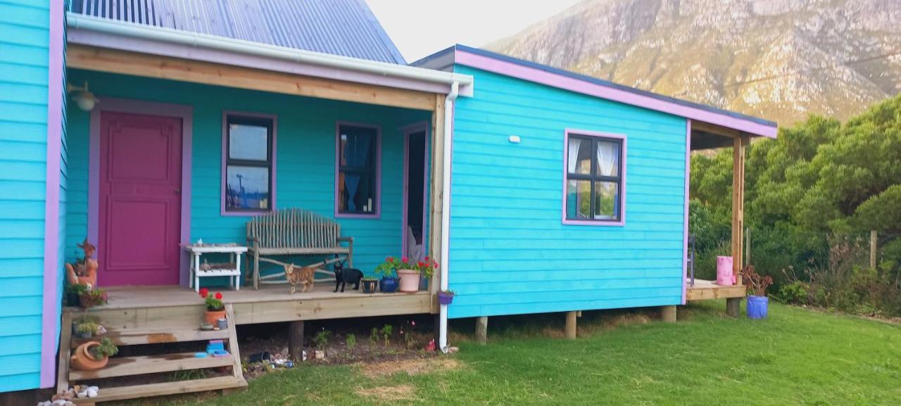Cat Nap Cottage Bettyʼs Bay Екстериор снимка