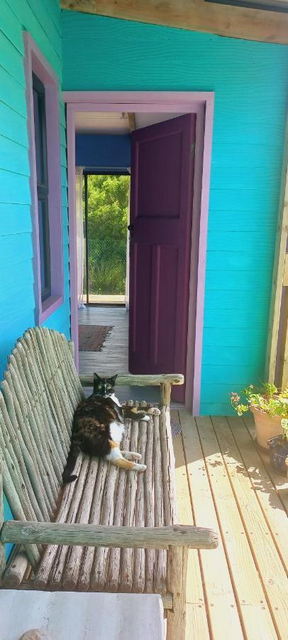 Cat Nap Cottage Bettyʼs Bay Екстериор снимка