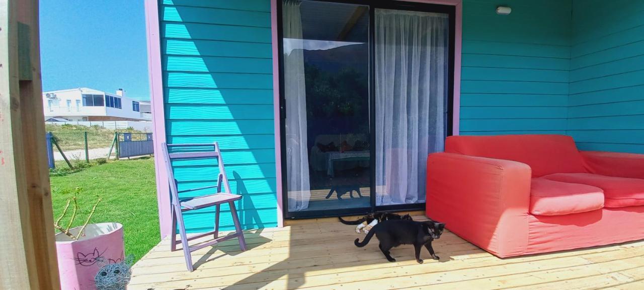 Cat Nap Cottage Bettyʼs Bay Екстериор снимка