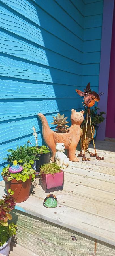 Cat Nap Cottage Bettyʼs Bay Екстериор снимка
