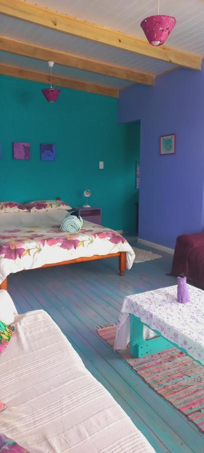 Cat Nap Cottage Bettyʼs Bay Екстериор снимка